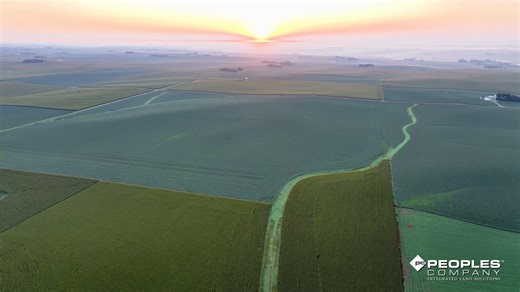 14 reactions | FARMLAND AUCTION | 80 Acres M/L in Sioux County, IA...