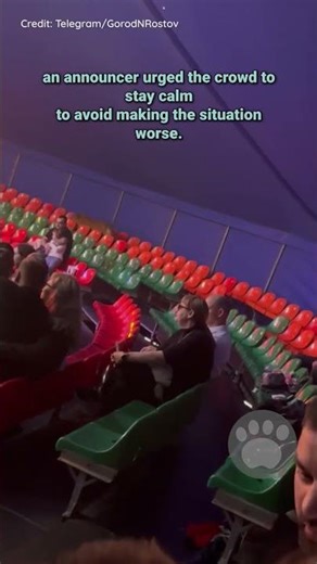 Tiger Escapes Ring and Enters Crowd During Russian Circus Show #wildanimals
