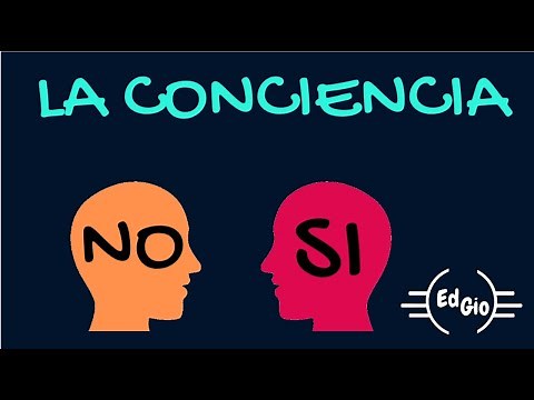 LA CONCIENCIA MORAL (PARTE 1)