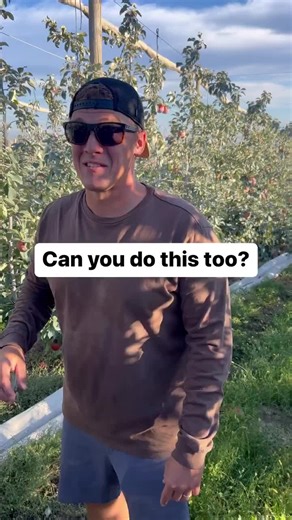 Tim's Apple Challenge: Can You Break an Apple?