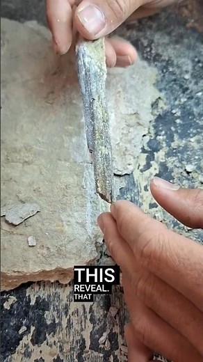 Hidden Dinosaur Fossil Found Underground 😨 (100M Years Old #metaldetecting
