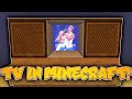 WORKING TV IN VANILLA MINECRAFT! | NO MODS | Flip Channels & Make Your Own (Minecraft Redstone)