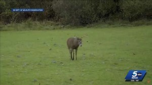 Oklahoma tribes challenge hunting license requirements amid deer season