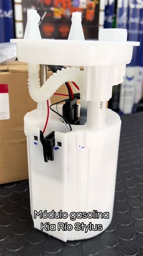 Complete Gas Module for Kia Rio Stylus