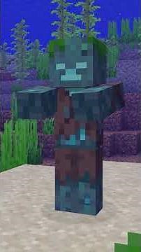 NIEMAND BRAUCHT DAS IN MINECRAFT...