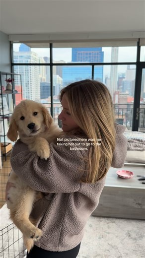Birdie 🎀 on Instagram: "Day in the life with miss birdie, our little growing gal!!! 💗🥹 #puppylife #goldenretrieverpuppy #goldenretriever #goldenpuppy #ourfirstpuppy"