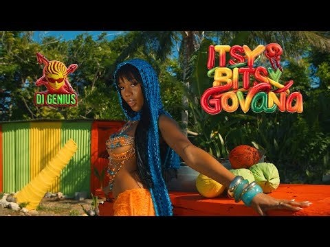 Govana, Di Genius - Itsy Bitsy | Hill & Gully Riddim (Official Music Video)