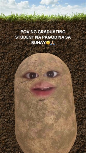 Emotional Graduation Songs for Tired Students