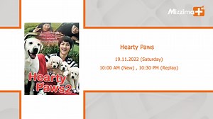 Hearty Paws 2 ဒုံဝူးဆိုတဲ့ကောင်လေးက သူ့အဖေမဆုံးခင် လက်ဆောင်ပေးခဲ့တဲ့ ဟာတီဆိုတဲ့ ခွေးမလေးကို အတော်လေးချစ်ရှာသူပါ။ ဒါပေမဲ့ ခွေးနဲ့ပဲအချိန်ဖြုန်းနေပြီး ပညာရေးမှာအားနည်းလာတဲ့ဒုံဝူးကြောင့် သူ့အမေက ခွေးမလေးဟာတီနဲ့သူ့ကလေးတွေကို သူများကိုပေးပစ်ဖို့ မောင်ဖြစ်သူကို အကူအညီတောင်းပါတယ်။ ဒုံဝူးမသိအောင် သူ့အမေက ဟာတီကို သူ့မောင်နဲ့ထည့်ပေးလိုက်တဲ့အချိန်မှာ သူခိုးနှစ်ယောက်နဲ့တွေ့ပြီး အခုဇာတ်လမ်း ဖြစ်လာပါတော့တယ်။ တရုတ်ကရတနာဆိုင်တစ်ခုကိုဝင်ခိုးပြီး ထွက်ပြေးလာတဲ့သူခိုးနှစ်ယောက်ဟာ ခွေးတစ်ကောင်ကိုသတ်၊ ရုပ်လုံးသွင်းပြီ