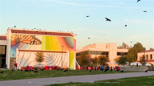 A special shoutout to the crow, Saddleback College’s campus celebrity. Smart, adaptable, and impossible to ignore, crows are known for recognizing human faces, solving complex problems, and remembering where they left things. They are also highly social, communicate with distinct calls, and hold grudges. If you have seen one watching you from a light pole, a tree, or the parking structure…no you didn’t. Happy National Bird Day from Saddleback College and "caw caw caw" to our feathered friends! |