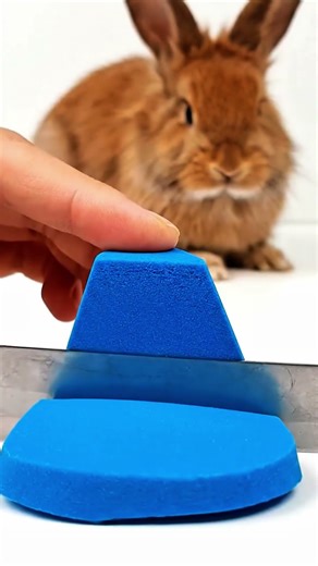 Next Level ASMR Cutting ✨ Oddly Satisfying Perfection #Shorts