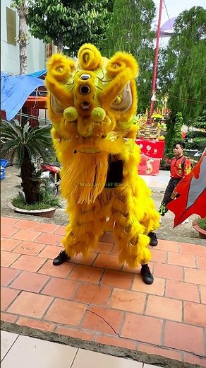 Múa lân cực ngầu quá đẹp #mualanongdia #liondance #mualanhaynhat #barongsai #shortsmualan #mualan