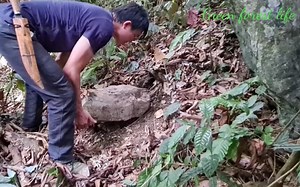 【Robert】两天在丛林中徘徊寻找食物和水（EP102）