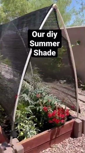 Need idea for summer shade ? We used pvc pipe!