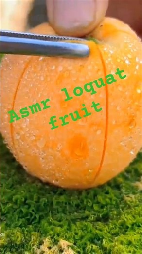 Asmr loquat fruit #asmr #satisfying #shorts #shortsfeed