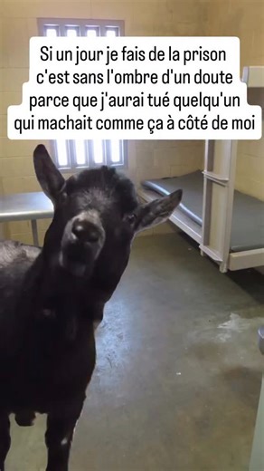 PARENThèse TDAH coach on Instagram: "Vous aussi le bruit de quelqu’un qui mâche peut vous donner l’impression que votre âme quitte votre corps ? Parce que clairement… si je finis un jour en prison, ce sera uniquement à cause d’une mastication trop enthousiaste juste à côté de moi. Pour beaucoup de personnes avec un TDAH, certains bruits déclenchent une réaction complètement disproportionnée : irritabilité, tension, fuite intérieure, impossibilité totale de se concentrer. Ce n’est pas “être fragi