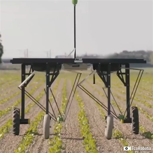 49K views · 721 reactions | This solar-powered weeding robot offers more sustainable use of herbicides.  #engineering | Interesting Engineering | Facebook
