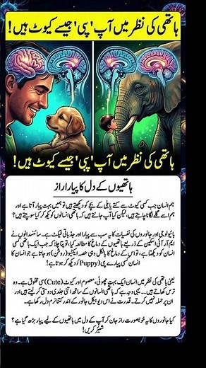 How Elephants See Humans (The Most Heart-Warming Science Fact)