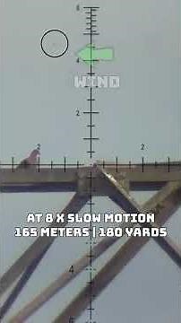 Unreal Modern PCP Airguns | FX Impact Best PCP Airguns in the world #fxairguns #elementoptics