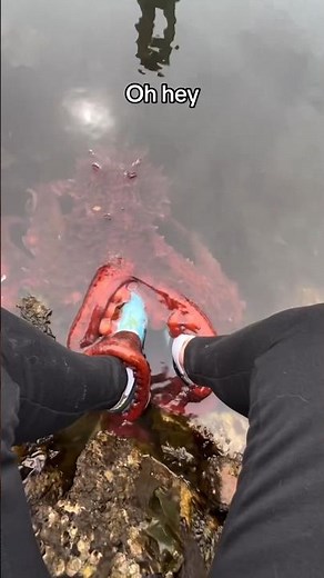 Sigma Compilation 52 - the boys