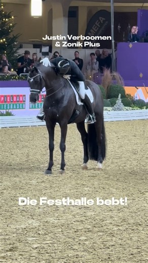 Schafhof Connects on Instagram: "⋙ 𝐃𝐢𝐞 𝐅𝐞𝐬𝐭𝐡𝐚𝐥𝐥𝐞 𝐞𝐬𝐤𝐚𝐥𝐢𝐞𝐫𝐭 💜🔥 Justin Verboomen und sein Zonik Plus schreiben Festhallen-Geschichte: Sieg im Top 12 Dressage Final mit sensationellen 91,195 %. Schon in der letzten Linie der Kür gab es kein Halten mehr auf den prall gefüllten Rängen. Zonik Plus steht. Der Applaus donnert. Standing Ovations für DEN Shooting Star der Dressurszene. Wir haben Gänsehaut! 🥹 #justinverboomen #zonikplus #schafhofconnects #pferdeliebe"