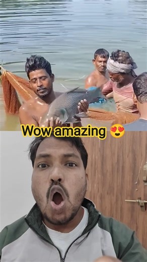 #song #funny #fish #comedy #swimming #remix #newmusic #viralvideo #fishing #dj