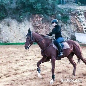 1.3K views · 34 reactions | Don’t miss the chance to train or check in your horse at #GHRC Its a life time experience ✈️ | Gladiators Horse Riding Club | Facebook