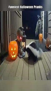 "Ultimate Halloween Pranks 👻😂 | Funny Scare Moments"