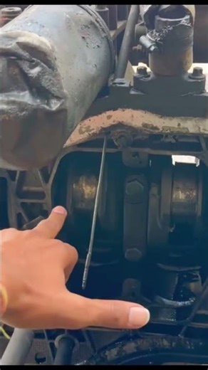 Ram Ram bhaiya Swaraj ka kam hone wala hai jaldi #shortvideo #ramvilaspaswan #ramterigangamaili