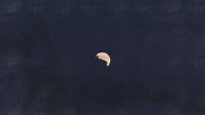 12K views · 174 reactions | We’re super excited for Fire In The...