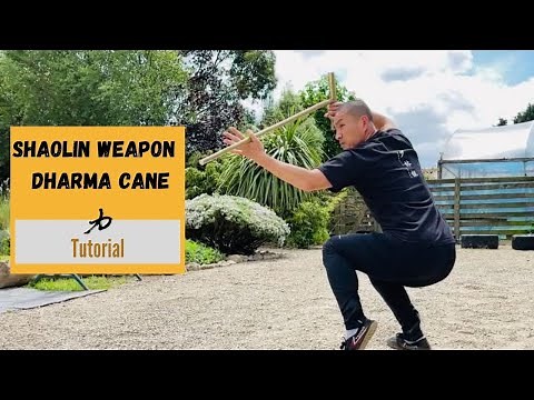 💥Shaolin Weapon | Walking Stick - Dharma Cane - Training Tutorial
