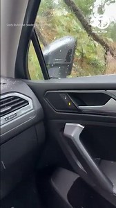 Falling tree smashes through windshield during intense Hawaii storm
