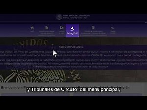 ¿Cómo registrar usuario en los Servicios en Línea del Poder Judicial de la Federación?
