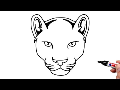 How to Draw a Panther Head