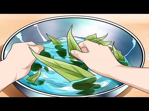 How to Make Eucalyptus Oil??