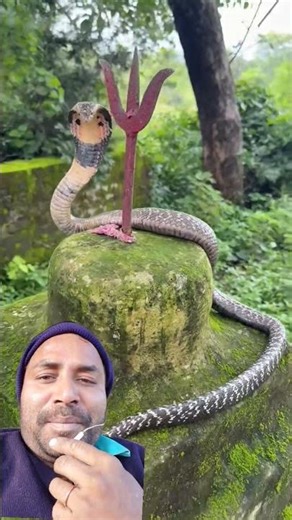 इस मंदिर पर आते हैं सांप लाल त्रिशूल के दर्शन करने #naagin #naagmani