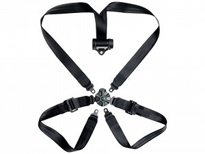 Restraint system with Rotary buckle type 358