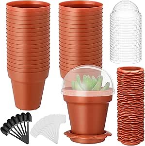 36 Pcs Cupcake Plant Nursery Pots with Humidity Dome Small Flower Pots Plastic Planting Containers Cups with Saucers and Shovel for Indoor Outdoor Plant Succulent Display (Classic)