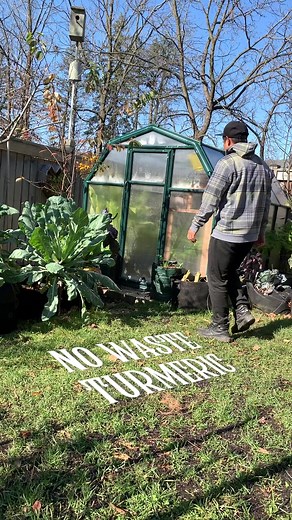 Creative Turmeric Root Uses for Zero Waste Living