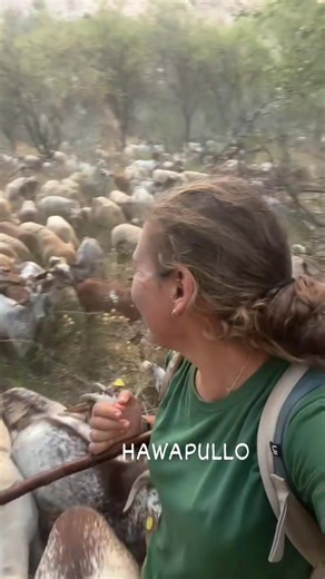 17K views · 1.5K reactions | When will the African Governments note...