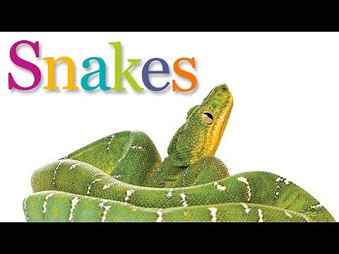 SNAKES | Animal Book for Kids Read Aloud