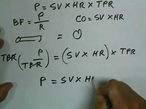 The blood pressure relationship to heart rate, heart stroke volume, & blood vessel resistance.