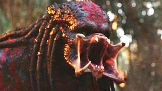 False facts about the Predator you should never believe