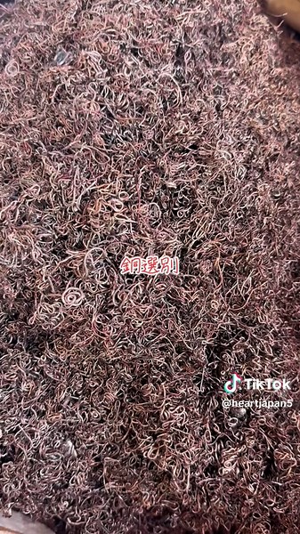 #銅#選別#産業モーター #スクラップ #選別作業 #破砕 #工業雑品 #非鉄金属 #ハートジャパン商事 #光学選別機 #シュレッダー