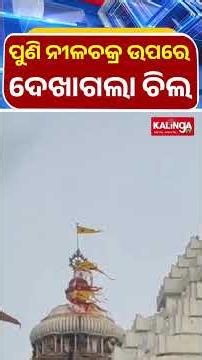 ଶ୍ରୀମନ୍ଦିର ନୀଳଚକ୍ର ଉପରେ ପୁଣି ବସିଲା ଚିଲ || Kalinga TV