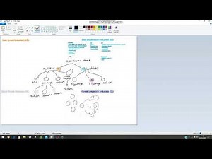 Leukaemia Classification