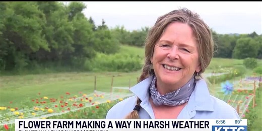 Pick your own flower farm still making a way during testing weather