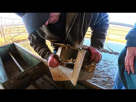 Warm Weather Window = Time to Fix the Freestall Waterers