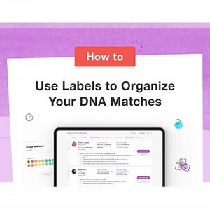 How to Use Labels to Organize Your DNA Matches