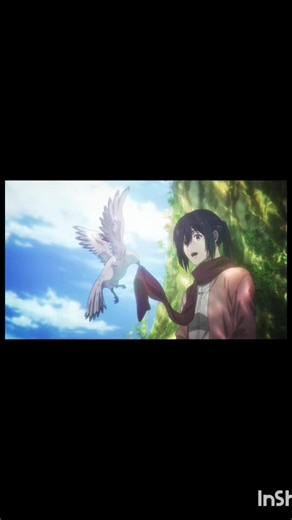AOT ❤️‍🩹💔 #AOT #Mikasa #ErenYeager